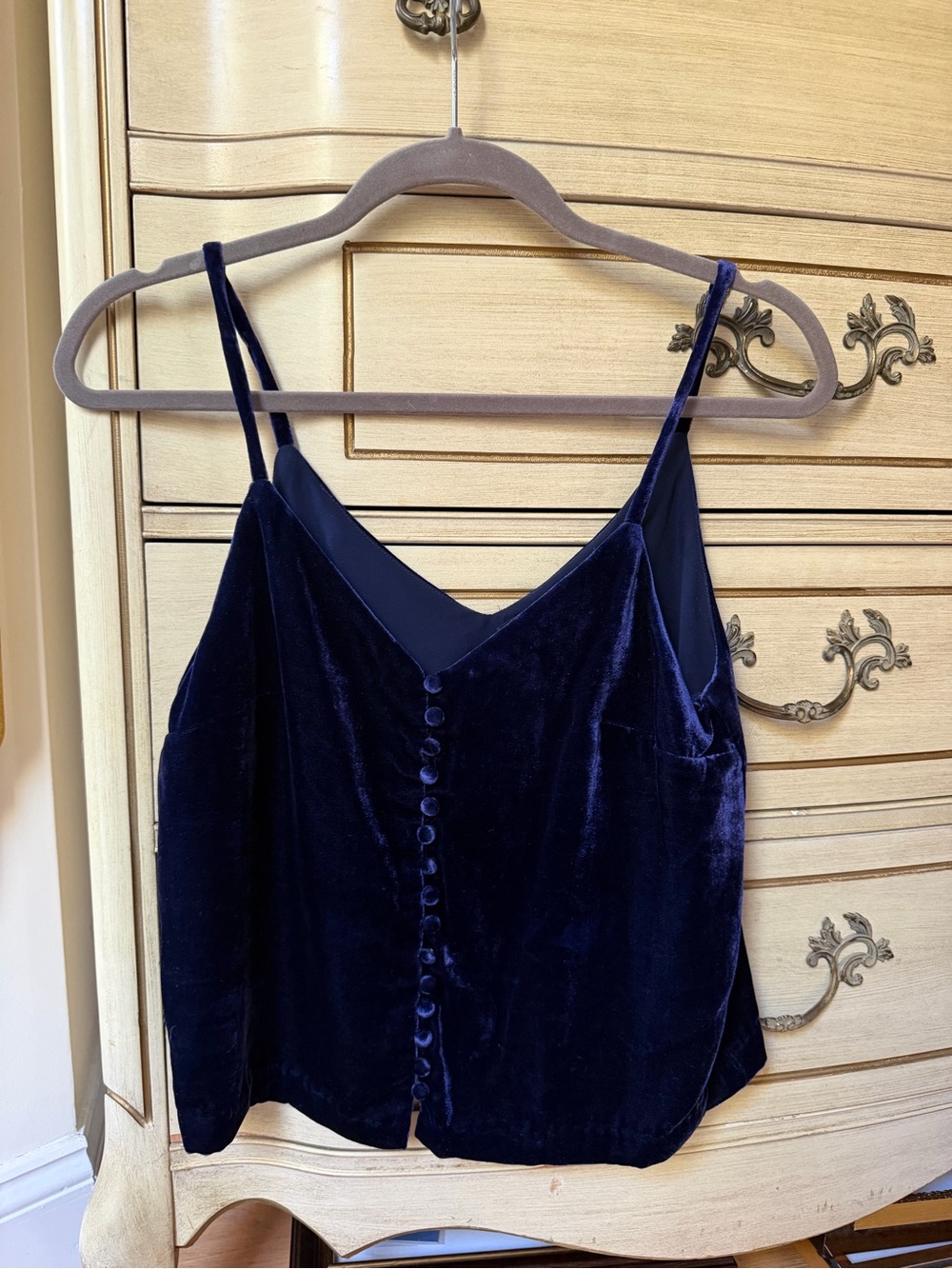 Madewell Women's Purple Velvet Button-Front Camisole Top